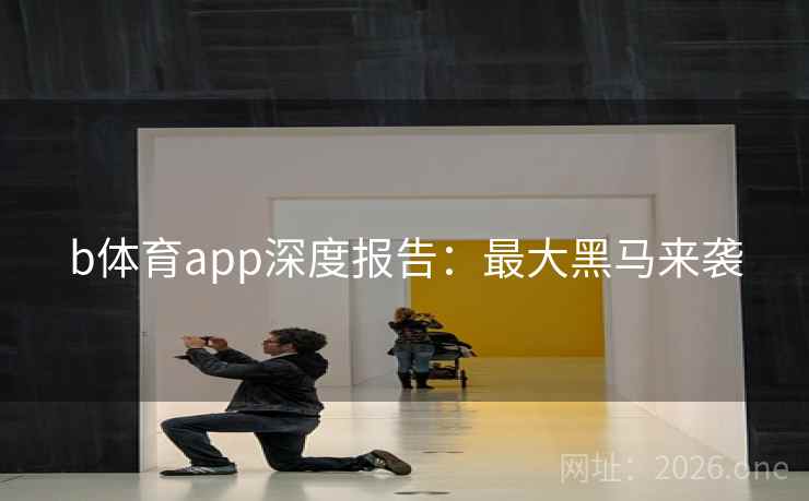 b体育app深度报告：最大黑马来袭