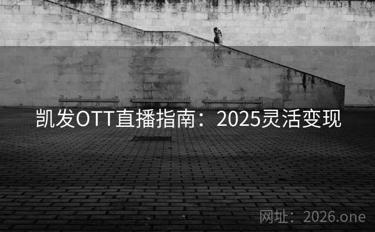 凯发OTT直播指南：2025灵活变现