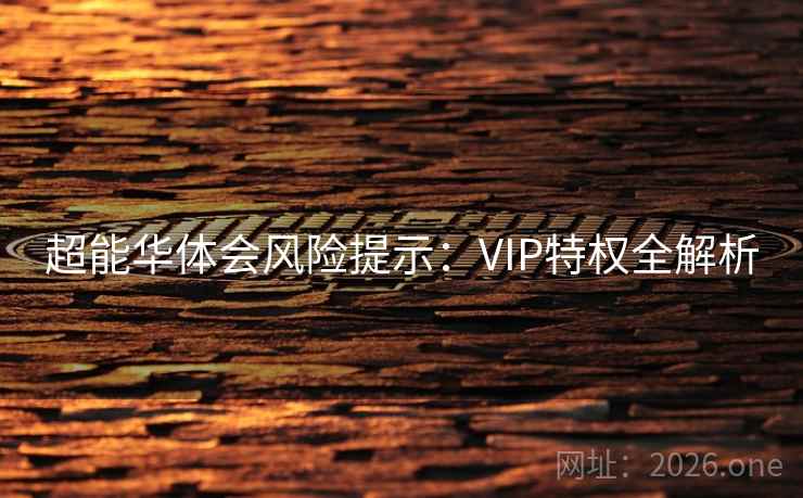 超能华体会风险提示：VIP特权全解析  第2张