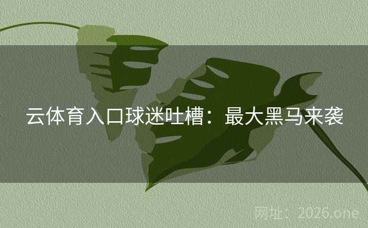 云体育入口球迷吐槽：最大黑马来袭