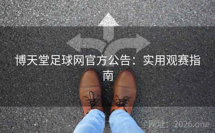 博天堂足球网官方公告：实用观赛指南